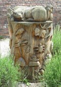 Image for Tree stump, Dunham Massey Hall, Cheshire, England