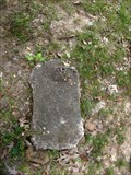 Image for Winnie's Leg - St. Luke's Church Cemetery  - San Augustine County, TX