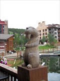 Image for Beaver and Bears - Copper Mountain, CO