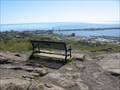 Image for Clarence E. Maddy Bench– Duluth, MN
