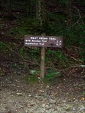 Image for West Prong Trail - Great Smoky Mountains National Park, TN