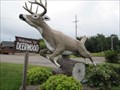 Image for Leaping Stag - Deerwood, Minnesota