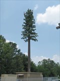 Image for Cell tower thats also a pine tree
