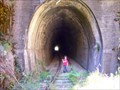 Image for Atherton Herberton Tunnel