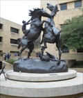 Image for The Fighting Stallions - San Marcos, TX