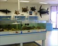 Image for UTPA Coastal Studies Lab - South Padre Island, TX