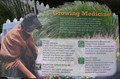 Image for Growing Medicine - California