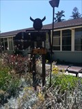 Image for Egan Middle School Viking - Los Altos, CA