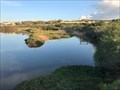 Image for The Ghadira wetlands -  Mellieha, Malta