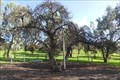 Image for Mulberry Tree and Cairn, Seaview Rd, Kingscote, SA, Australia