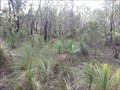 Image for Stony Creek Picnic Area, Brisbane Ranges NP, Victoria