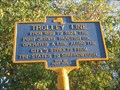 Image for Trolley Line