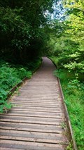 Image for Arboretum Walkway - Burrator, Yelverton, Devon, UK