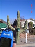 Image for The BIG Cactus Mailbox