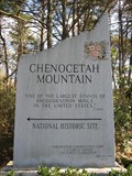 Image for Chenocetah Mountain/Lake Russell Rhododendron Trail