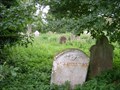 Image for The Old Graveyard of St Helen - Colne, Cambridgeshire, UK