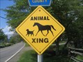 Image for Animal Xing