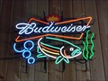 Image for Fish Swimming in Bud - Kalispell MT