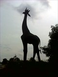 Image for Giraffe Statue - Dallas, TX