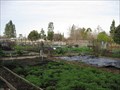 Image for Wallenberg Park Community Garden - San Jose, CA