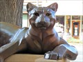 Image for Cougar - Loveland, CO