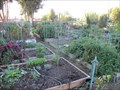 Image for Edith Morley Community Garden - Campbell, CA