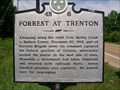 Image for Forrest At Trenton
