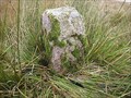 Image for BB/P/L Boundary Stone, South Dartmoor, Devon UK