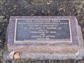 Image for POW/MIA Tree - Stockbridge, Michigan