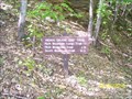 Image for Indian Grave Gap Trail at Rich Mountain Road - Great Smoky Mountains National Park