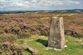 Image for Askwith Moor