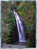 Image for Te Ana Falls. Hawkes Bay. North Is. New Zealand.