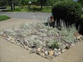 Image for Xeriscape Demonstration Garden - Placerville, CA