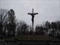 Image for Cross In The Woods
