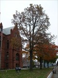 Image for Memorial Tree for George Washington's Bicentennial - La Porte, IN
