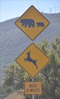 Image for Deer and Bears Crossing