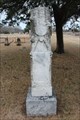 Image for W.T. Barnes - Shiloh Cemetery - Delta County, TX