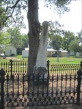 Image for Wilson Obelisk - Marshall Cemetery - Marshall, TX