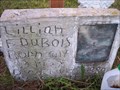 Image for Lillian F. Dubois - Huron Evergreen Cemetery - Wolcott, N.Y.