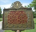 Image for Trigg Furnace/Iron Made in Kentucky