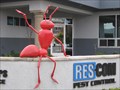 Image for Pest Control - Tulare, CA
