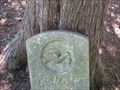 Image for Elor Wilkinson - Thornhill Cemetery - Lincoln County, MO USA