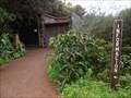 Image for Reserva de la Biosfera La Gomera - Canary Islands, Spain