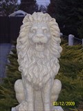 Image for Lion Guarding