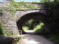 Image for Dunmere Railway Bridge, Camel Trail, Cornwall UK