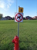 Image for Don't pee on that Hydrant, Dog!