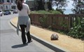 Image for Capitola Turtle Crossing - Capitola, CA