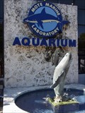 Image for Mote Aquarium
