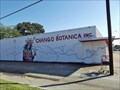 Image for Chango Botanica is here to stay - Dallas, TX