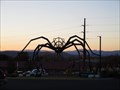 Image for Spider - Santa Fe, NM